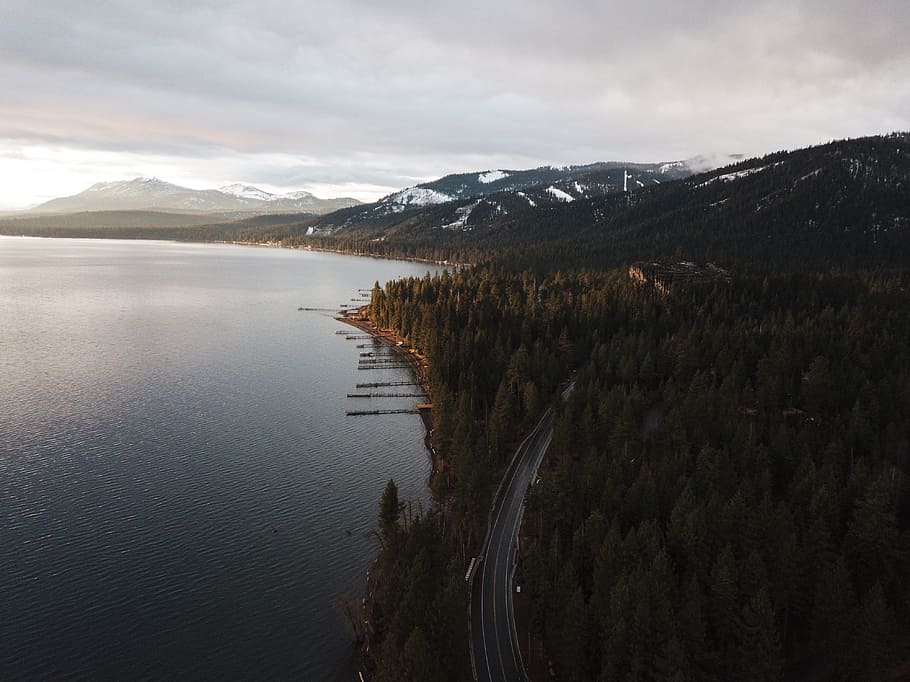 Aerial Photography of Dense Forest Near Body of Water, bird's eye view HD wallpaper