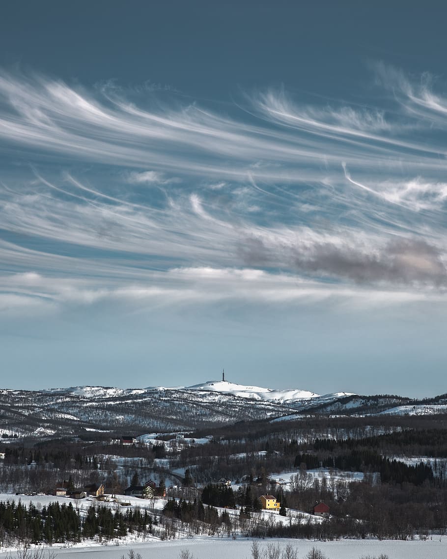 Trees Under Blue Sky, bird's eye view, cloudy, cold, daylight HD wallpaper