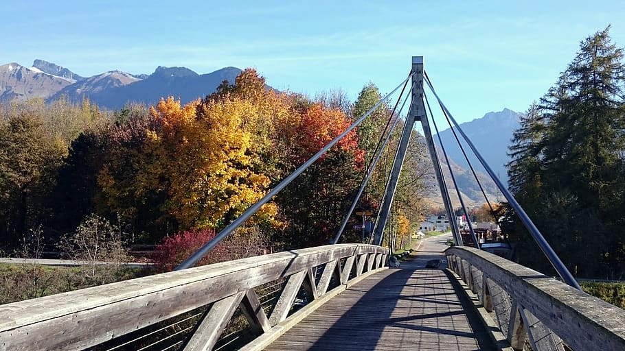 bridge, viaduct, rhône, eagle, river, fall, tree, landscape HD wallpaper
