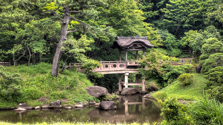 Lake Between Green Trees, bridge, forest, grass, landscape, scenic HD wallpaper