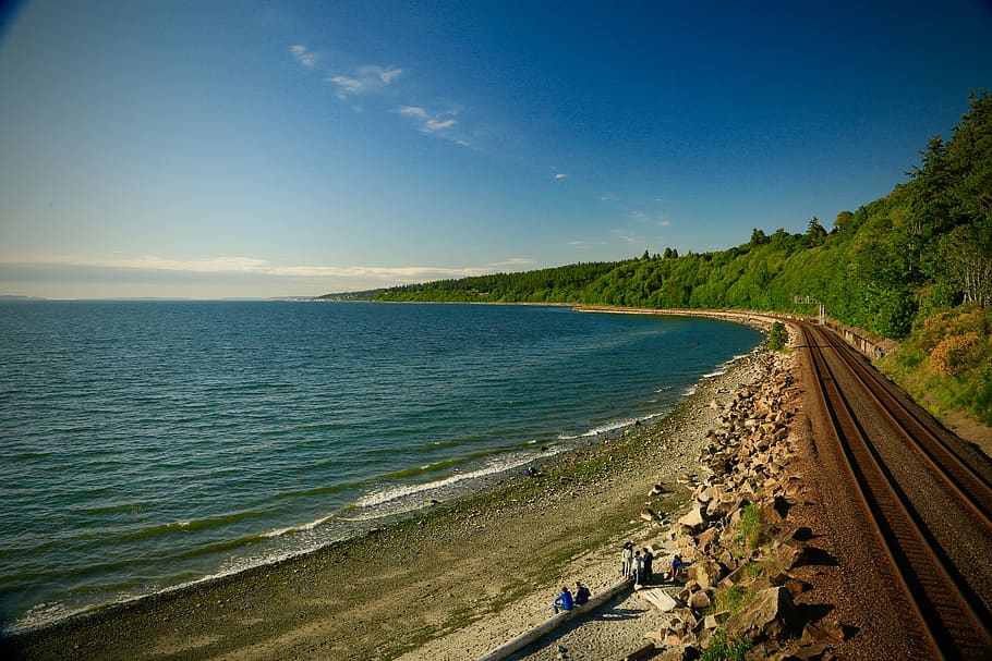 train, tracks, ocean, bay, seattle, shore, water, forest, sky HD wallpaper