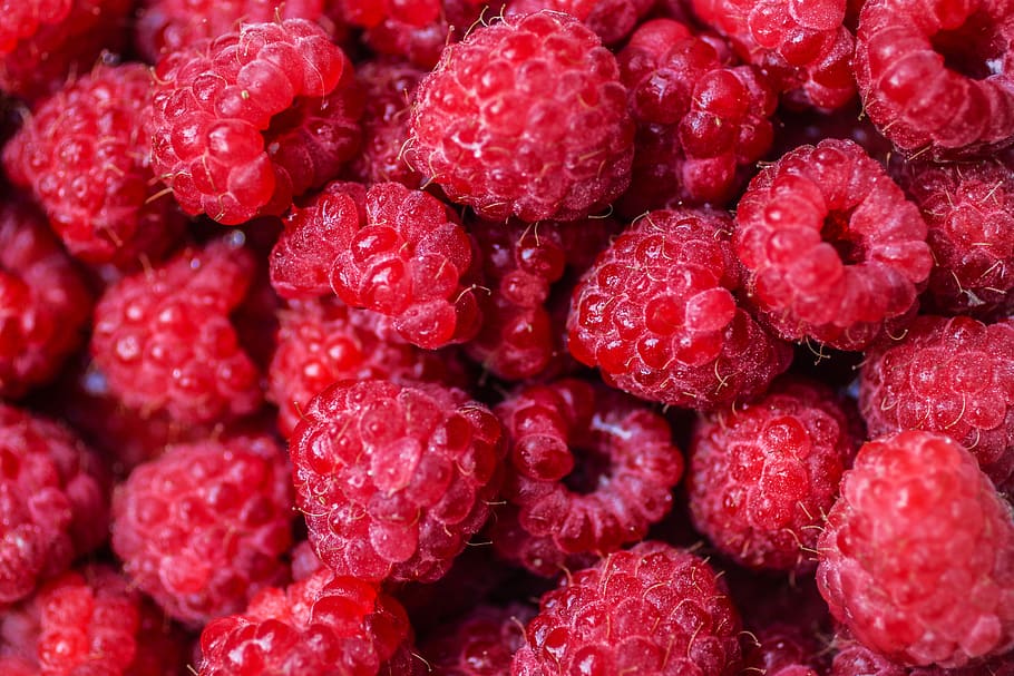 raspberries, raspberry, pink, red, summer, fruit, fruity, healthy HD wallpaper