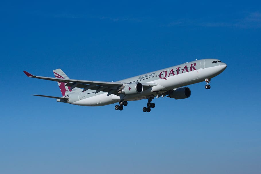 the plane, aviation, flying, technology, air vehicle, airplane HD wallpaper