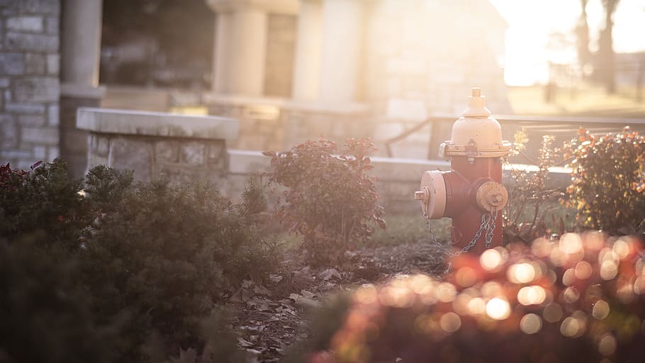 white and red fire hydrant, selective focus, architecture, plant HD wallpaper