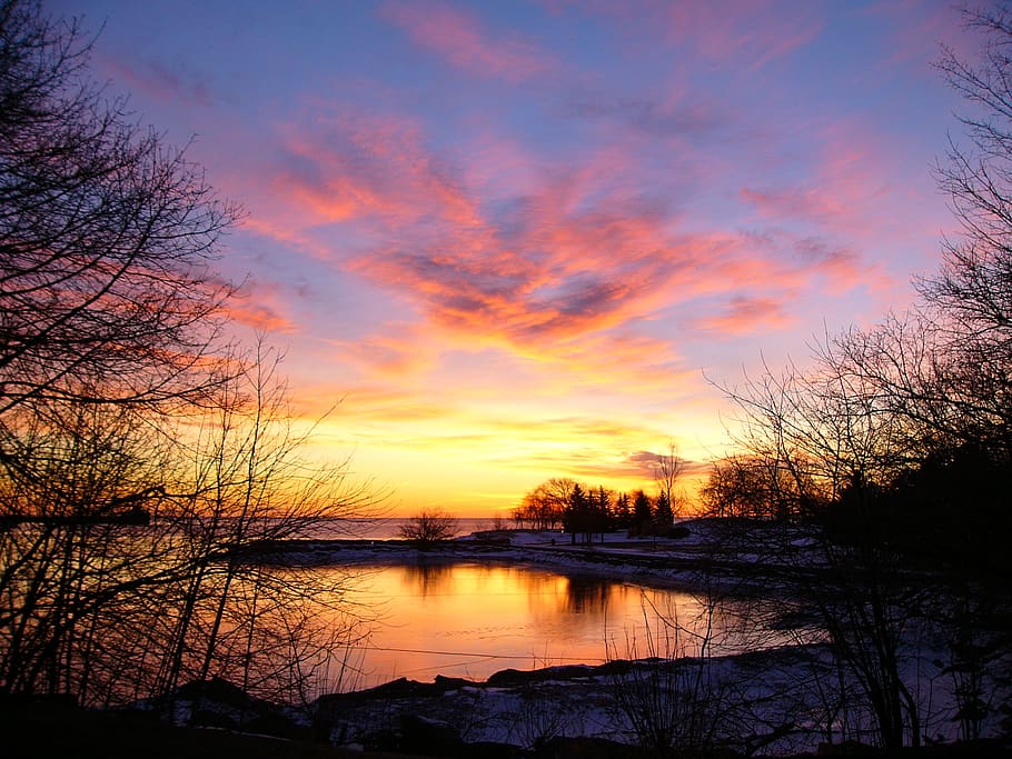 canada, mississauga, tree, reflection, lake, sky, winter, sunrise HD wallpaper