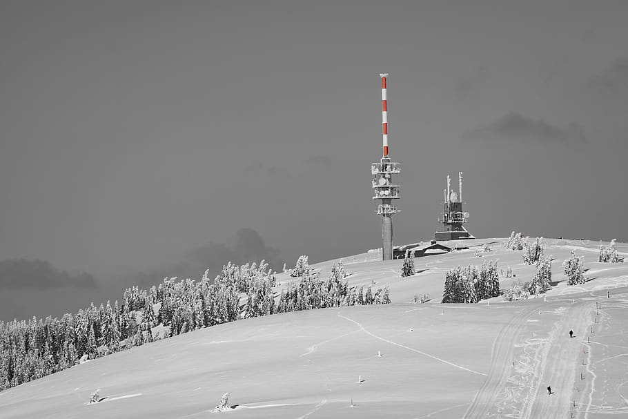Green Trees With Snow, cold, landscape, mountain, radio tower, HD wallpaper