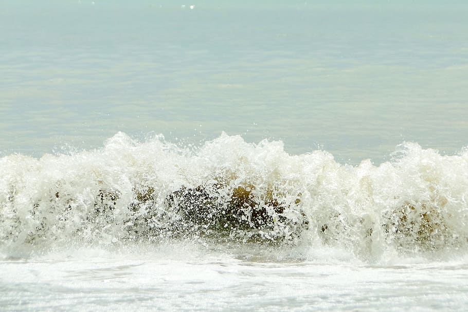 see, nature, water, sea, motion, wave, beauty in nature, sport HD wallpaper