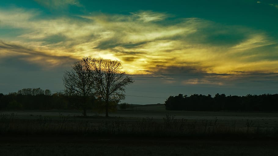 sunset, sky, clouds, light, dusk, tree, plant, beauty in nature HD wallpaper