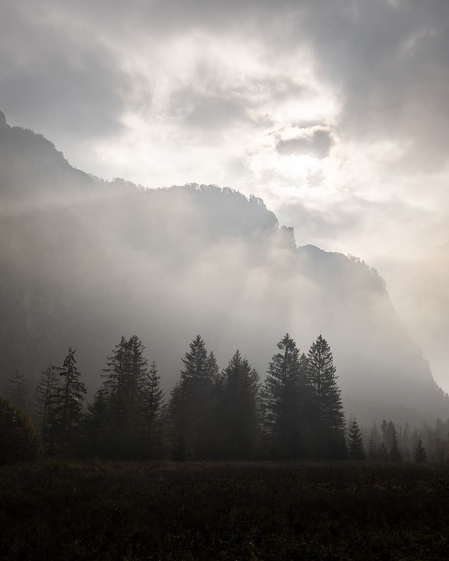 trees and mountain under cloudy sky, nature, weather, plant, outdoors HD wallpaper