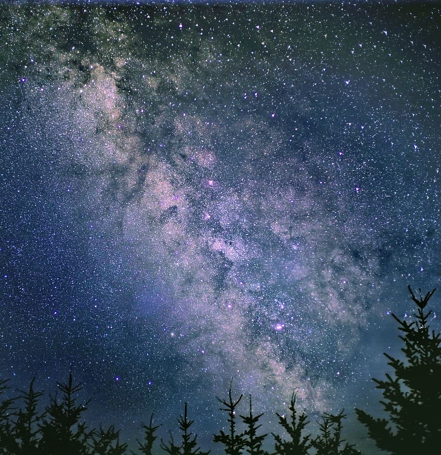 person taking photo of starry night sky, tree, silhouette, galaxy HD wallpaper