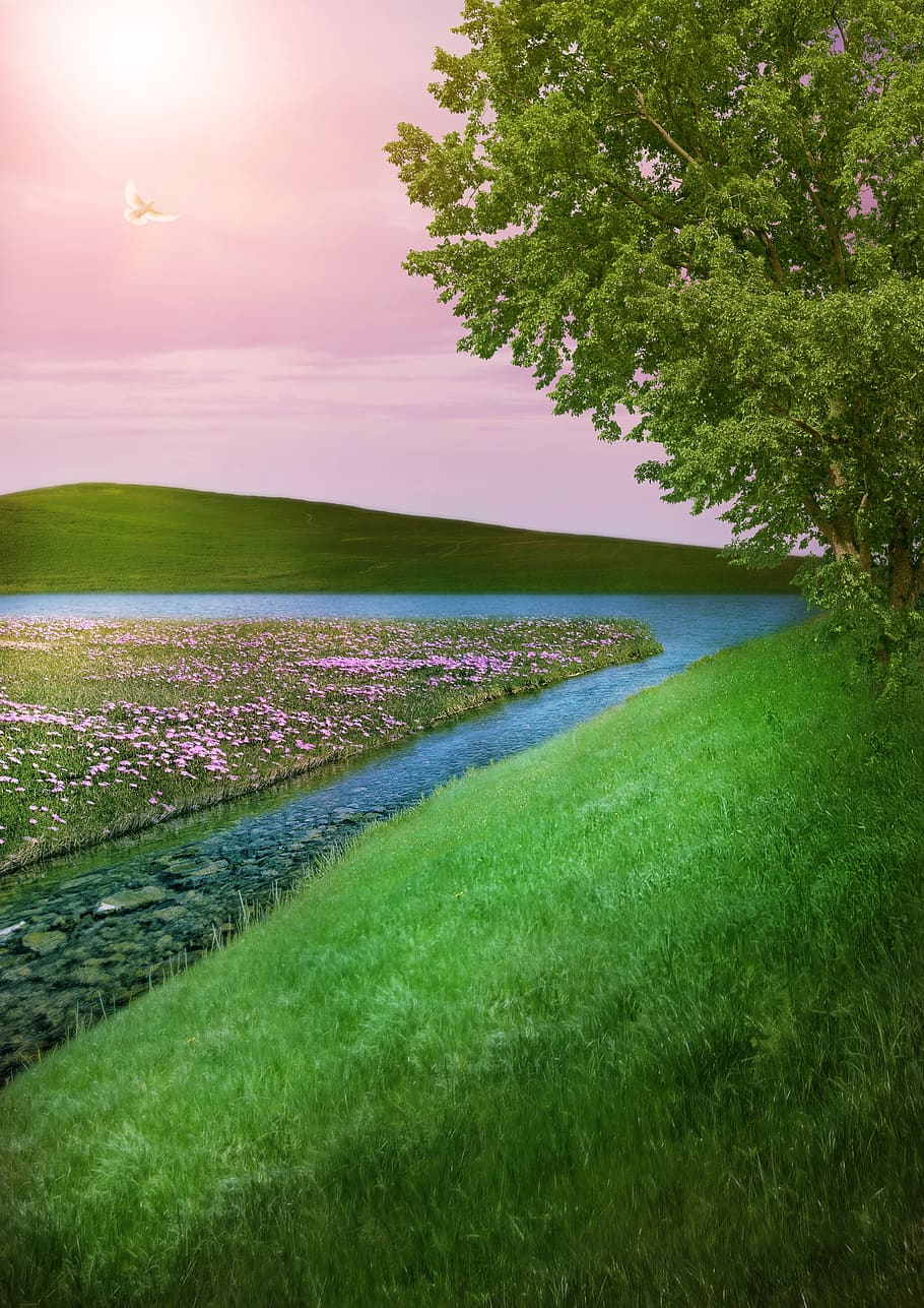 fantasy, landscape, meadow, tree, bach, lake, hill, grass, image manipulation HD wallpaper