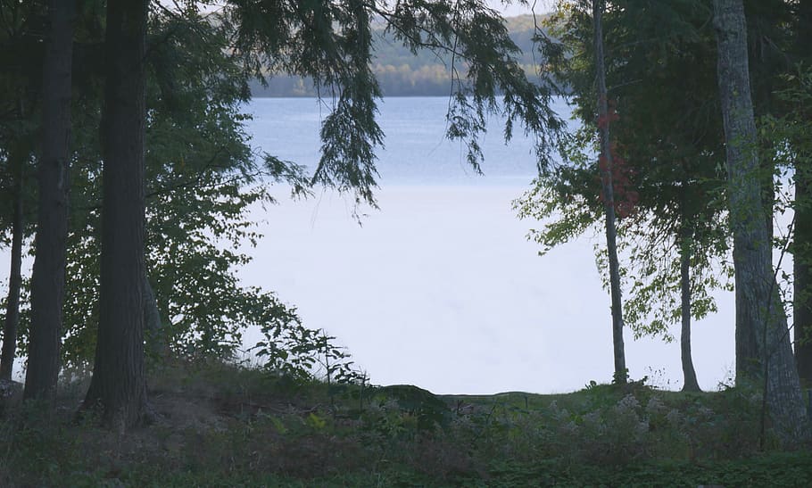 trees, lake, water, frame, blue, plant, tranquility, tranquil scene HD wallpaper