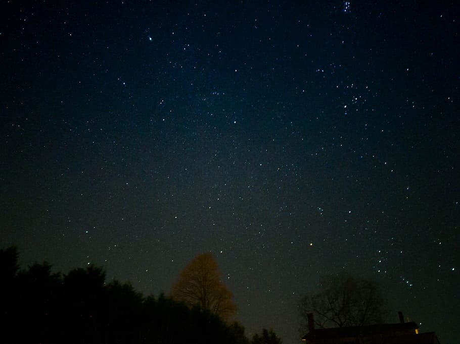 stars and forest, sky, tree, woodland, night, evening, outdoors HD wallpaper