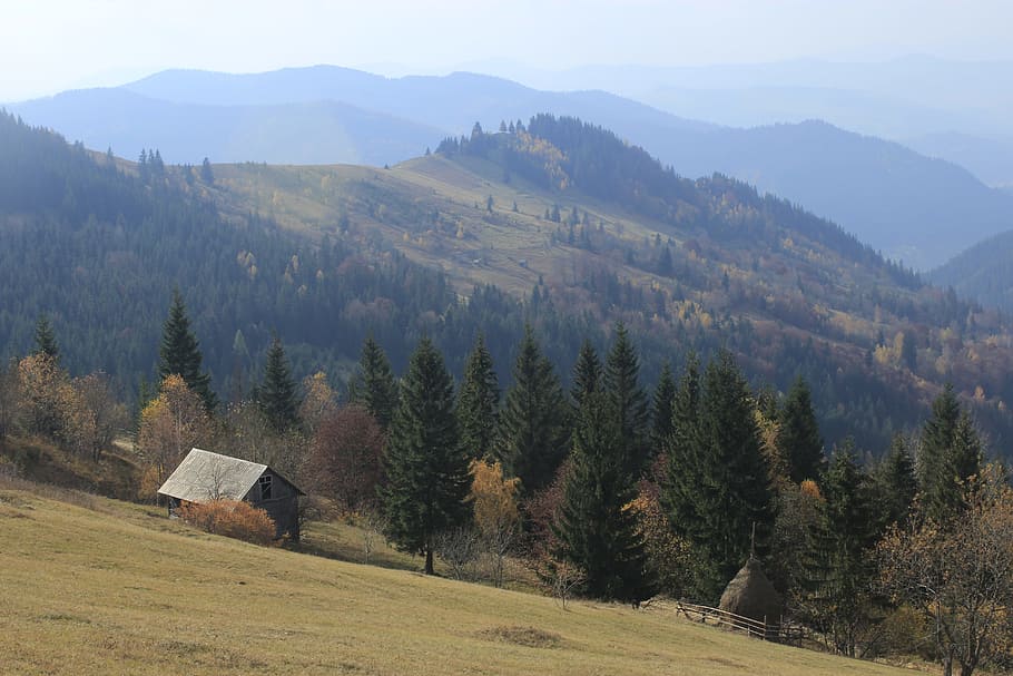 autumn, tree, hill, mountain, cabin, shack, nature, warm, scenics - nature HD wallpaper
