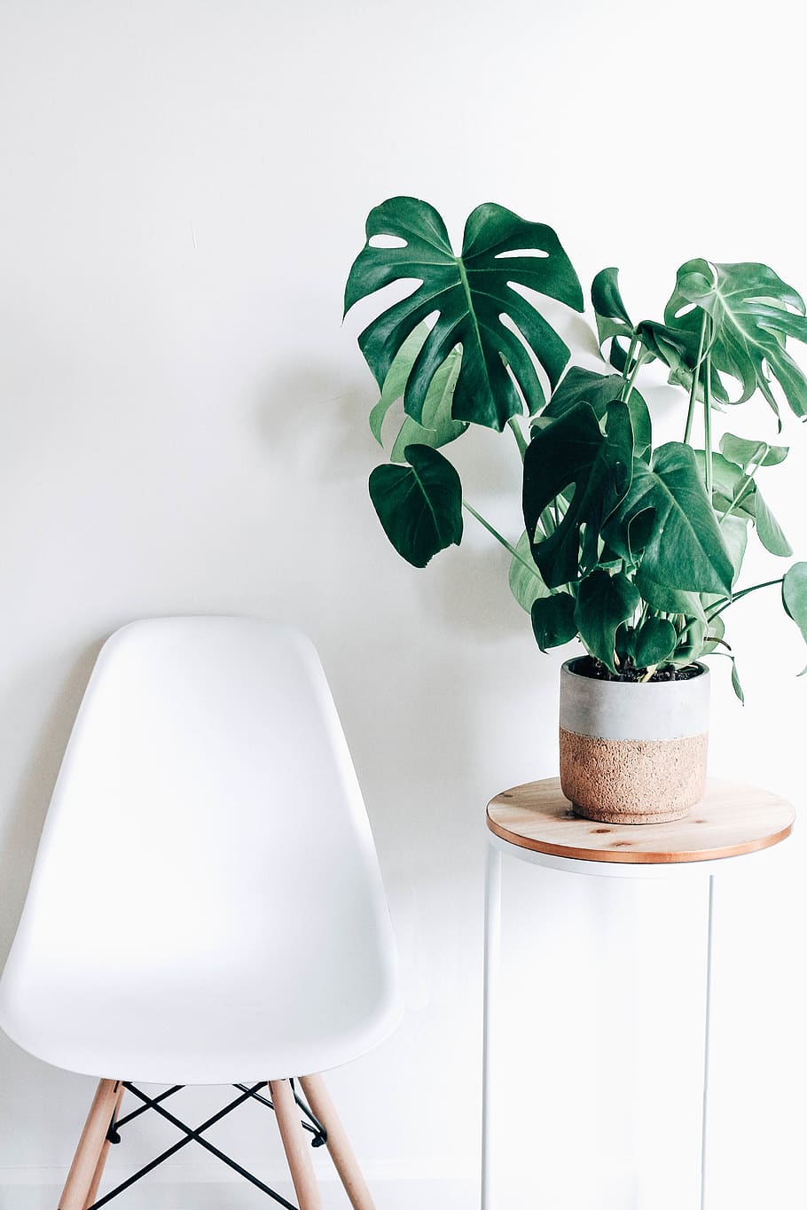 green-leafed plant, potted plant, seat, plant part, growth, indoors HD wallpaper