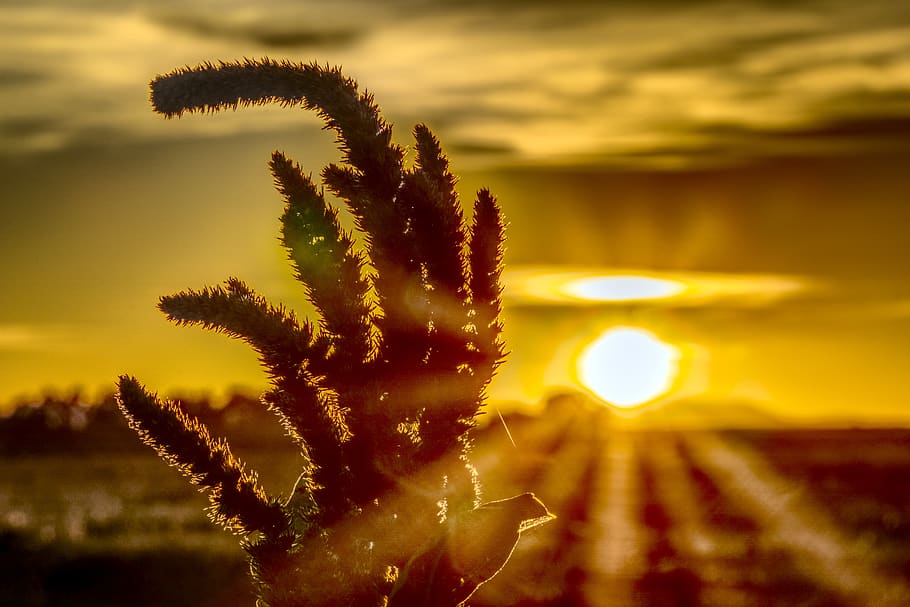 sunset, mood, dusk, sky, abendstimmung, evening, clouds, afterglow HD wallpaper