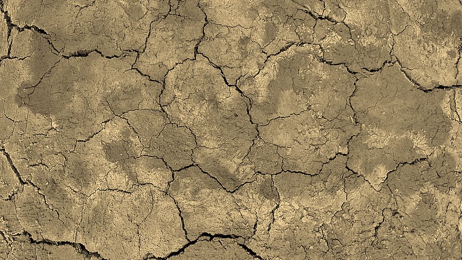 brown, land, ground, dry, cracked, backgrounds, textured, full frame HD wallpaper