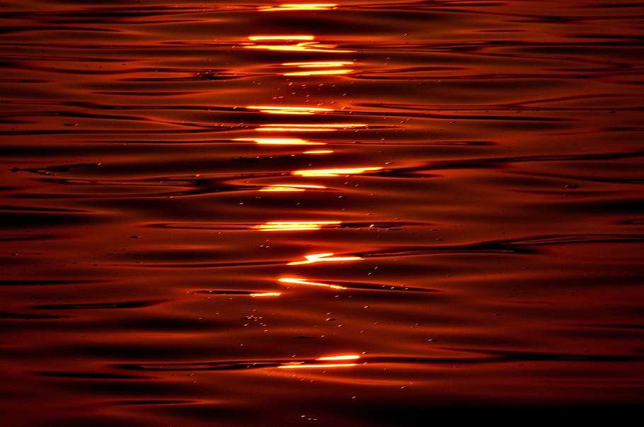kerala, reflection, backgrounds, full frame, water, no people HD wallpaper