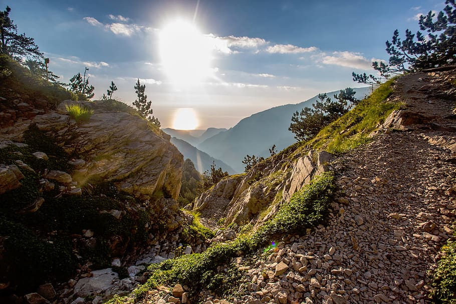 nature, landscape, mountains, grass, trees, plants, sun, sunlight HD wallpaper