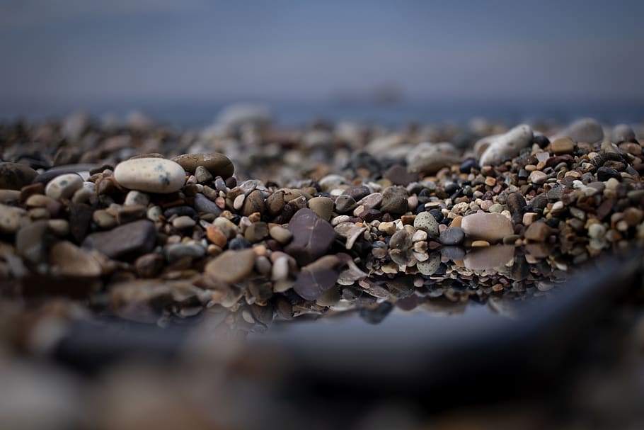 pebble, water, ocean, sand, snake, animal, reptile, reflection HD wallpaper