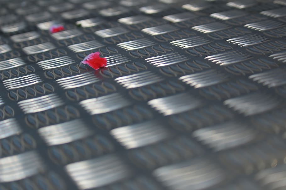 blossom, flower, spring, blooming, metal, floor, romantic, texture HD wallpaper