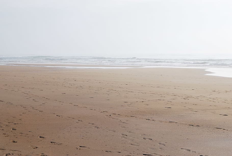 Wide Angle Photo of Shore, beach, cloudy, coast, landscape, ocean HD wallpaper