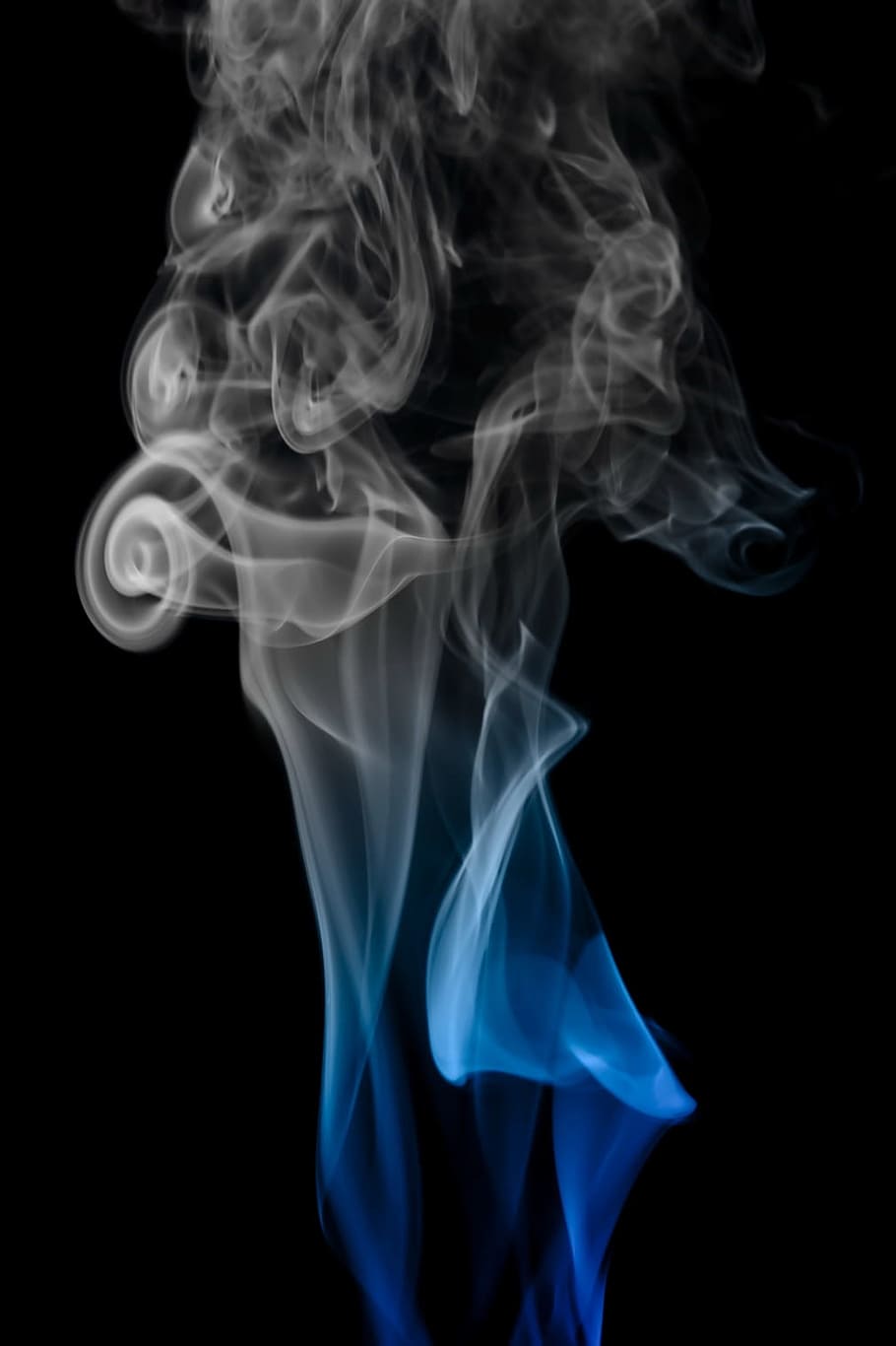 blue, background, smoke, isolated, black, smooth, shape, abstract HD wallpaper
