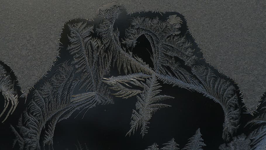 frost, macro, jack frost, desktop background, phoenix 100 mm f/3.5 macro HD wallpaper