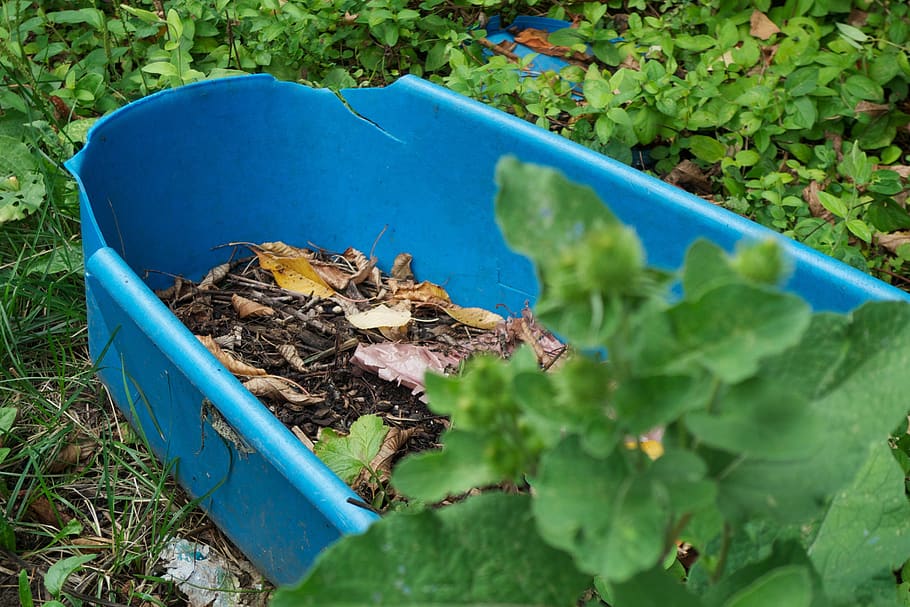 leafs, garden, nature, basin, washbasin, plastic, plant part HD wallpaper