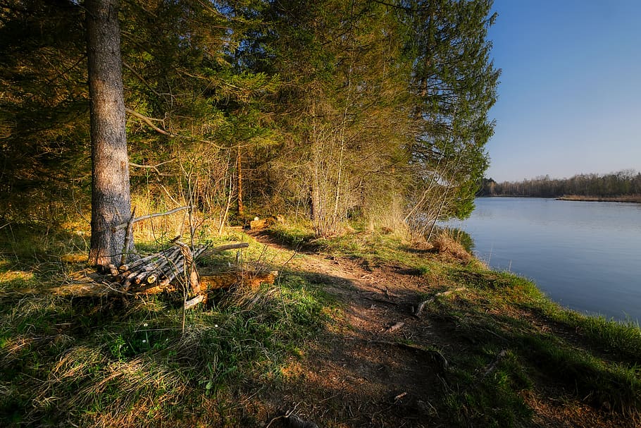 rest, bank, lake, river, view, forest, glade, heat, evening light HD wallpaper