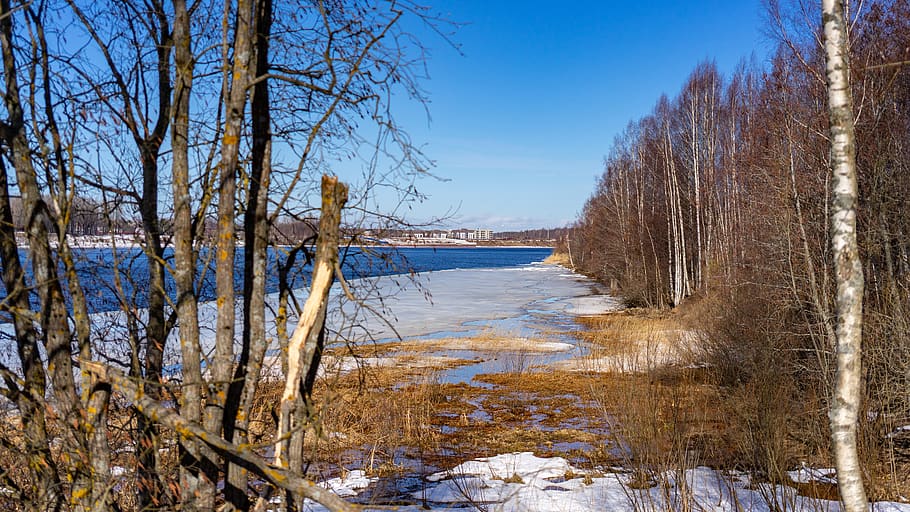 spring, river, landscape, water, nature, forests, sky, tree HD wallpaper