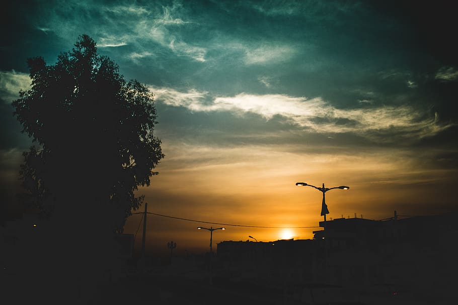 trees, sunset, buildings, city, road, light, moody, clouds HD wallpaper
