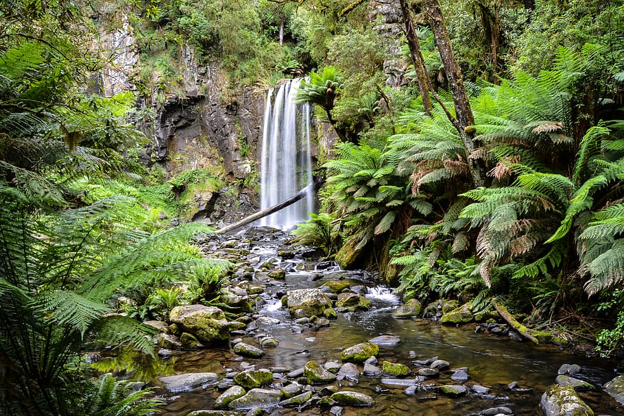 forest, waterfall, landscape, life, wood, nature, explore, trek HD wallpaper