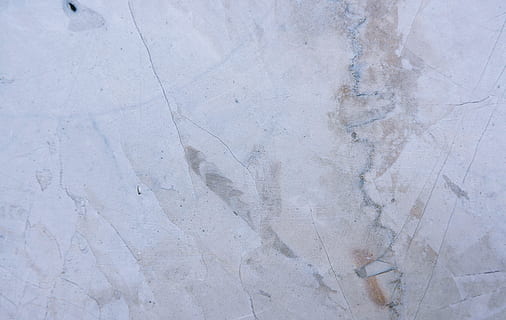 floor, marble, texture, concrete, flooring, slate, insect, animal HD wallpaper