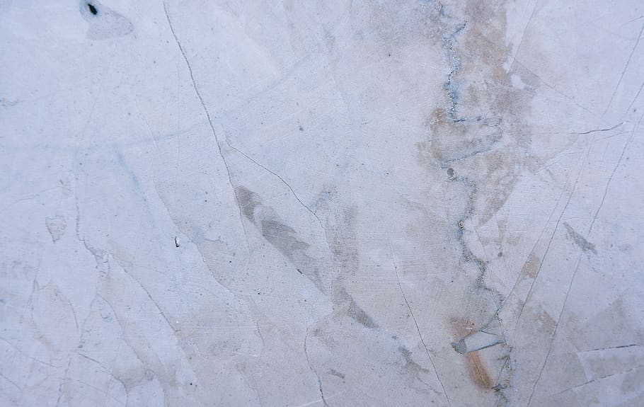 floor, marble, texture, concrete, flooring, slate, insect, animal HD wallpaper
