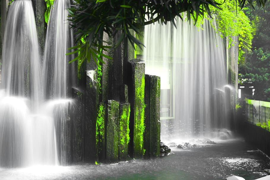 green plants, water fall, waterfall, scenics - nature, beauty in nature HD wallpaper