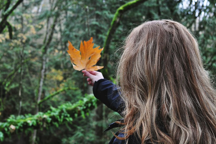 rainforest, canada, bc, green, autumn, blonde, hair, luscious HD wallpaper