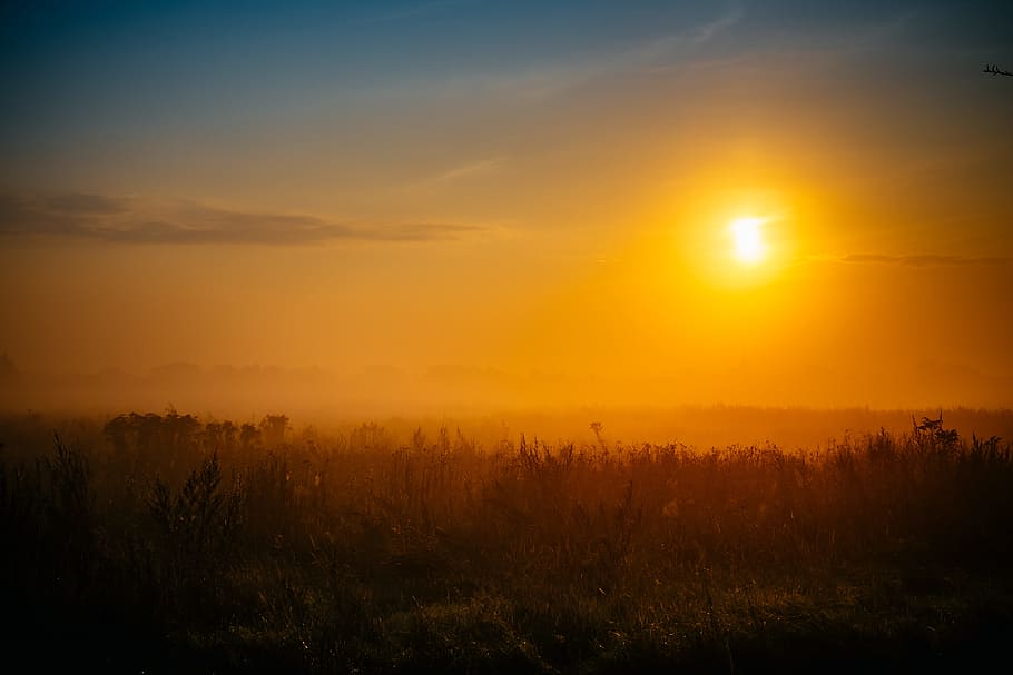 Silhouette Photography of Grass Field, clouds, dusk, evening HD wallpaper