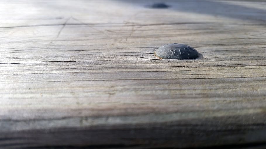 table, wood, texture, brown, animal themes, animal wildlife HD wallpaper