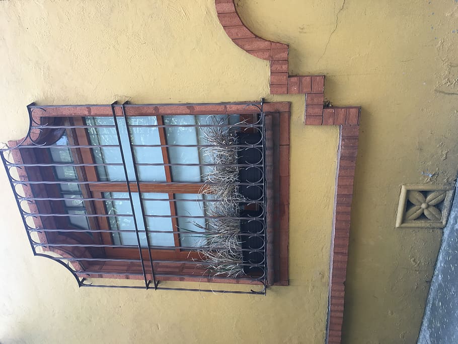 méxico, house, windows, wall - building feature, architecture HD wallpaper