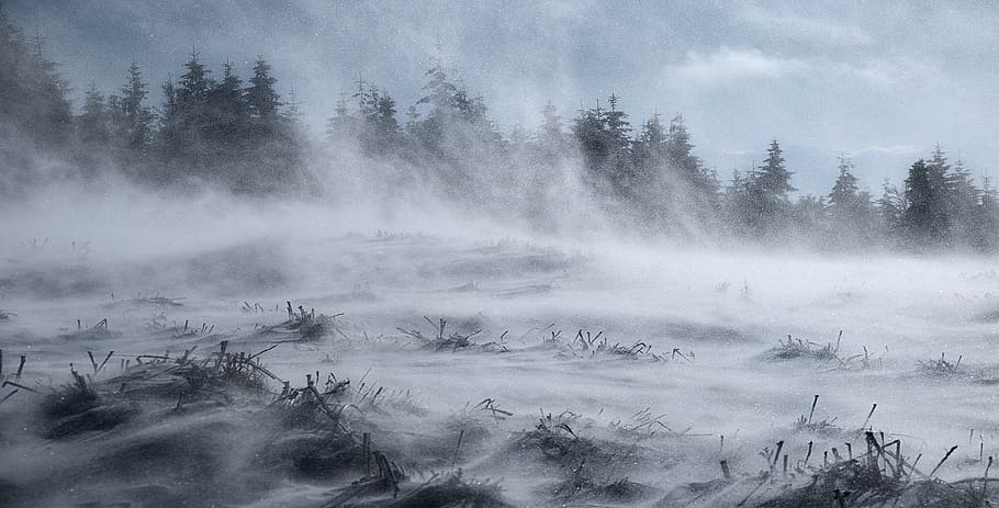 winter, snow, frost, wind, zadymka, weather, blizzard, blizzards HD wallpaper