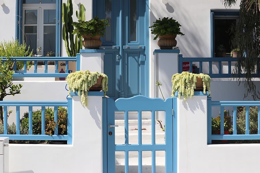 blue and white gate, plant, building exterior, architecture, day HD wallpaper