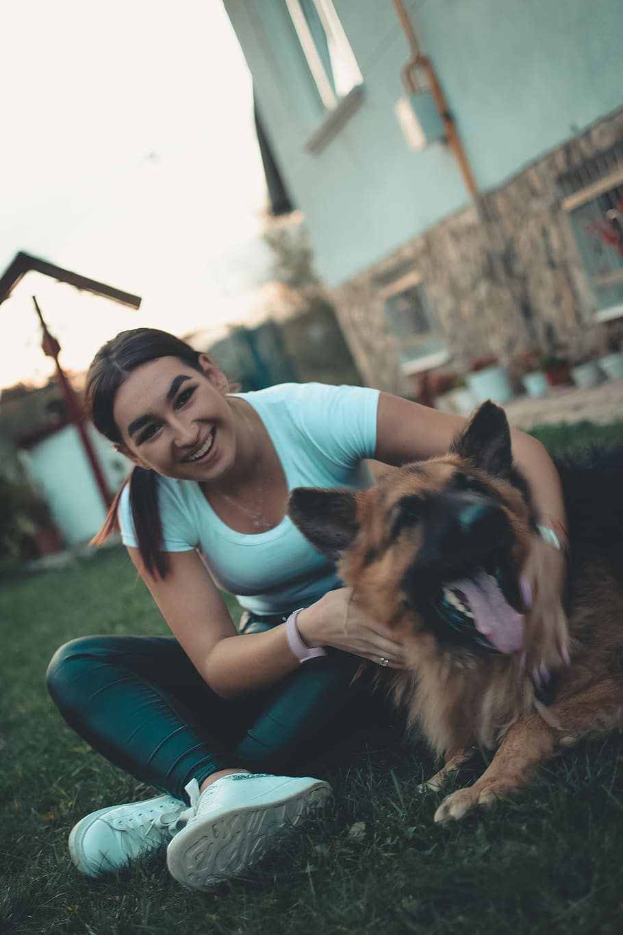 ukraine, falysh, domestic, mammal, pets, domestic animals, one animal HD wallpaper