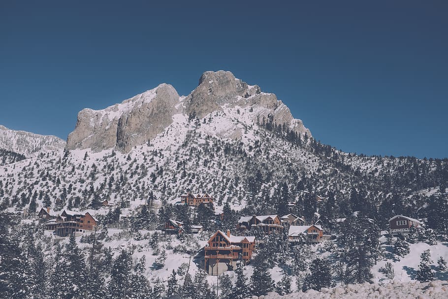 mountain, landscape, peak, summit, snow, trees, pines, houses HD wallpaper