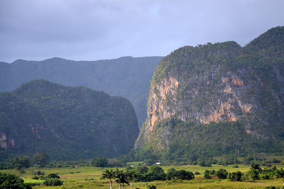 cuba, nature, forest, scenics - nature, mountain, plant, environment HD wallpaper