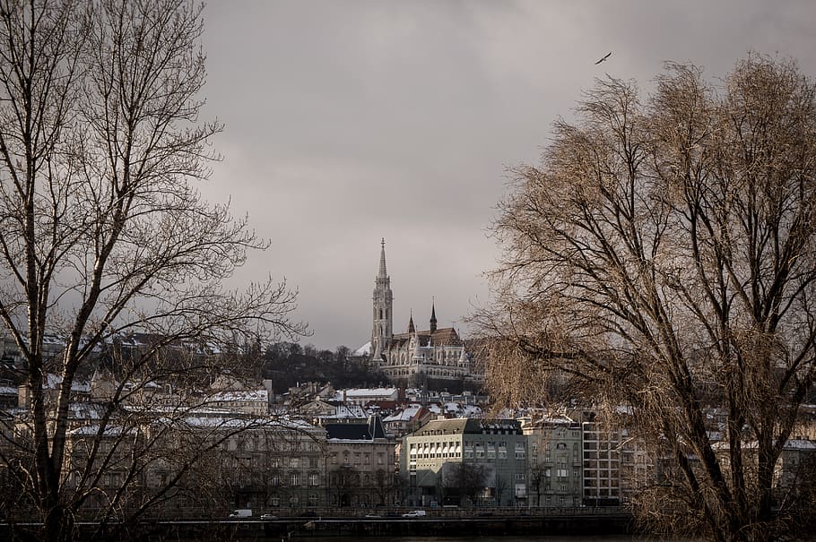budapest, winter, hungary, architecture, danube, city, cold HD wallpaper