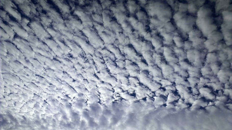 cottony clouds, sky, cloud cover, wave clouds, clouds cover HD wallpaper