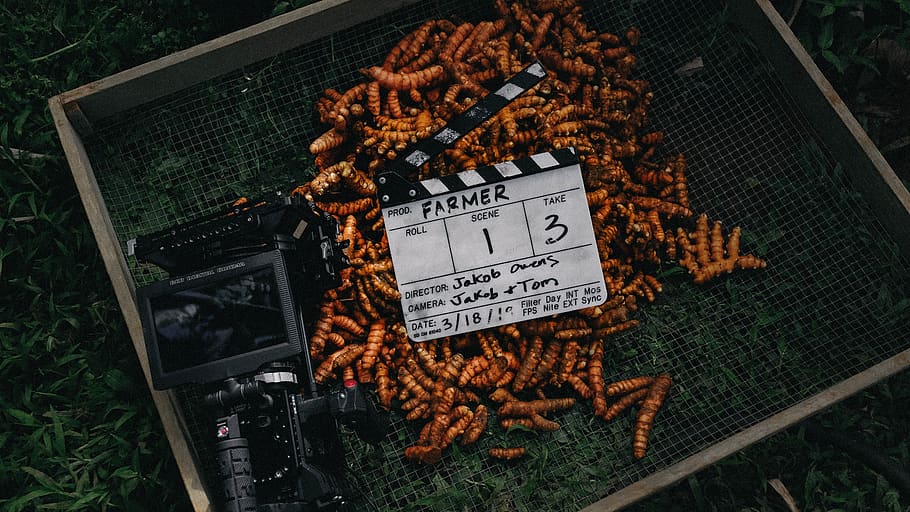 clipboard beside camera, text, food, plant, fruit, paper, island HD wallpaper