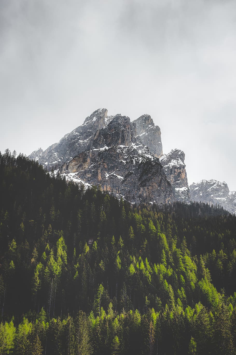 outdoors, mountain, nature, mountain range, tree, plant, peak HD wallpaper