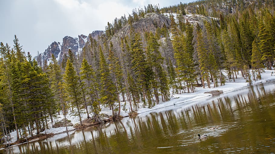 united states, estes park, mountain, duck, lake, snow, cold HD wallpaper